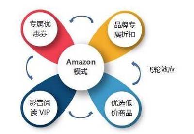 会员制社交电商模式 电子商务平台运营的新范式