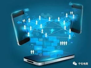 天猫平台品牌号运营主体变更规则解析 电商生态治理的深化与赋能