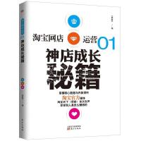 电子商务平台运营全攻略 策略、执行与优化